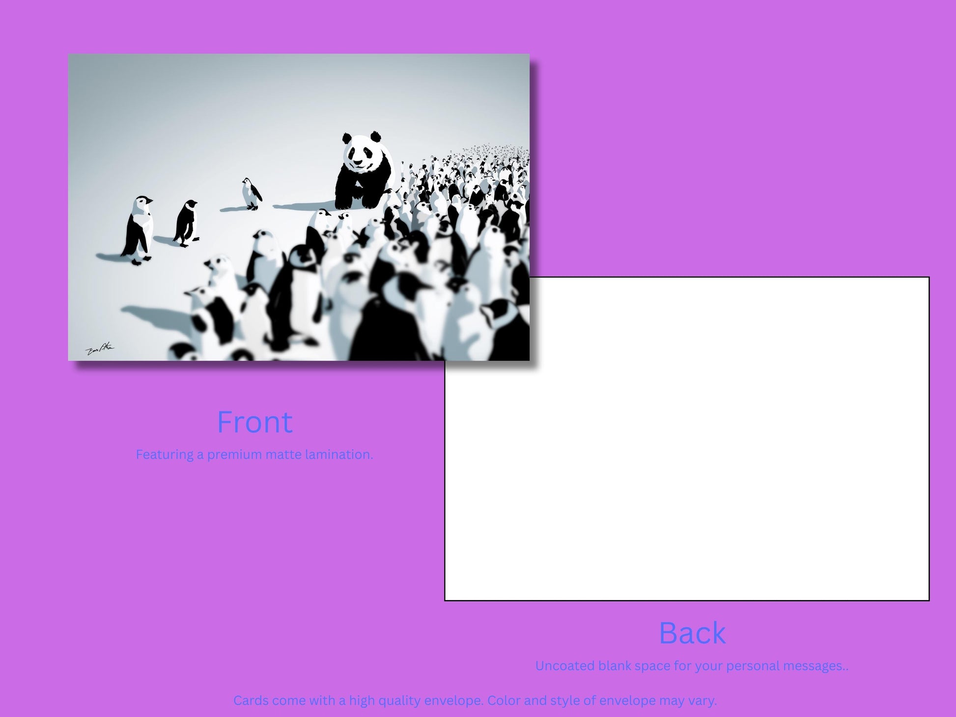 Panda Notecard Set – Unique Animal Art, Colored Envelopes